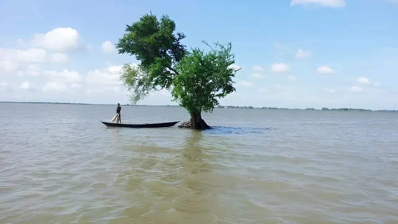 অপরূপ সৌন্দর্যে ঘেরা চলনবিল