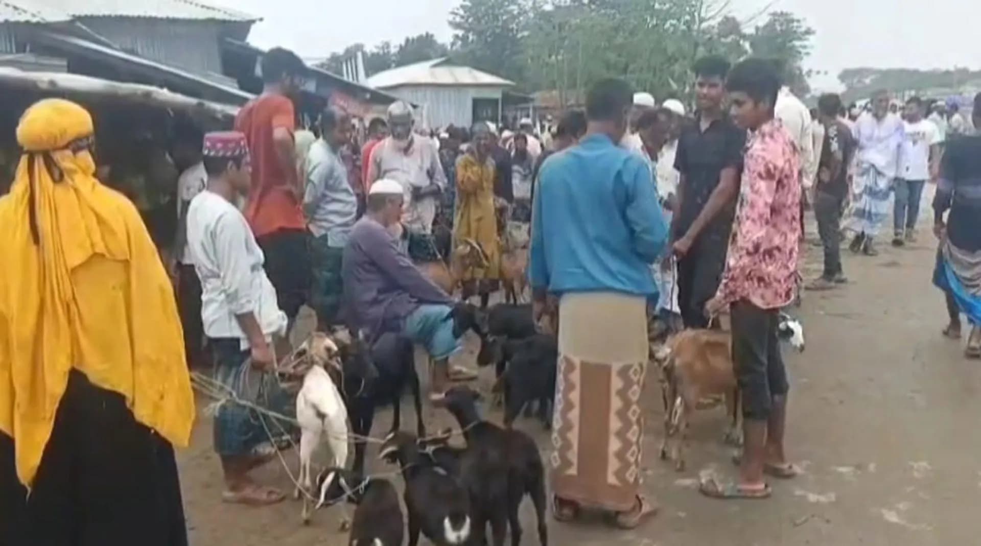 কলাপাড়ায় মহাসড়ক দখল করে পশুর হাট, বন্ধ করল প্রশাসন