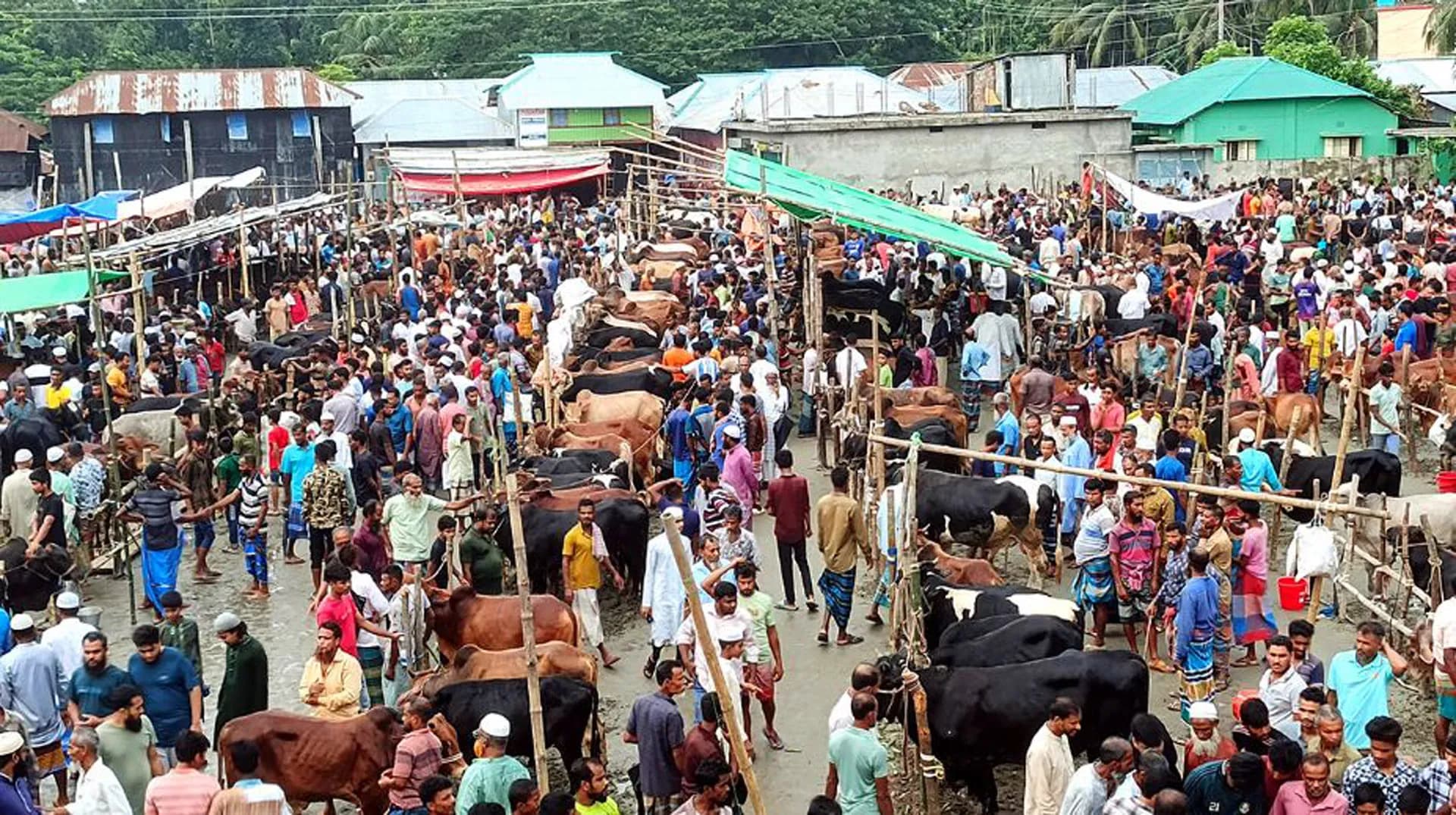 পিরোজপুরে পশুর হাটে উপচে পড়া ভিড়, নেই কাঙ্ক্ষিত ক্রেতা
