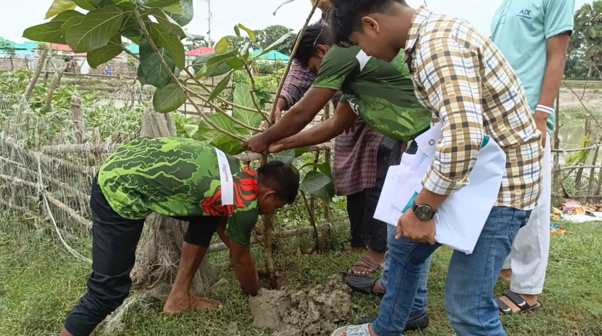 পাথরঘাটায় পরিবেশ দূষণ প্রতিরোধে আবাসনে বৃক্ষরোপণ