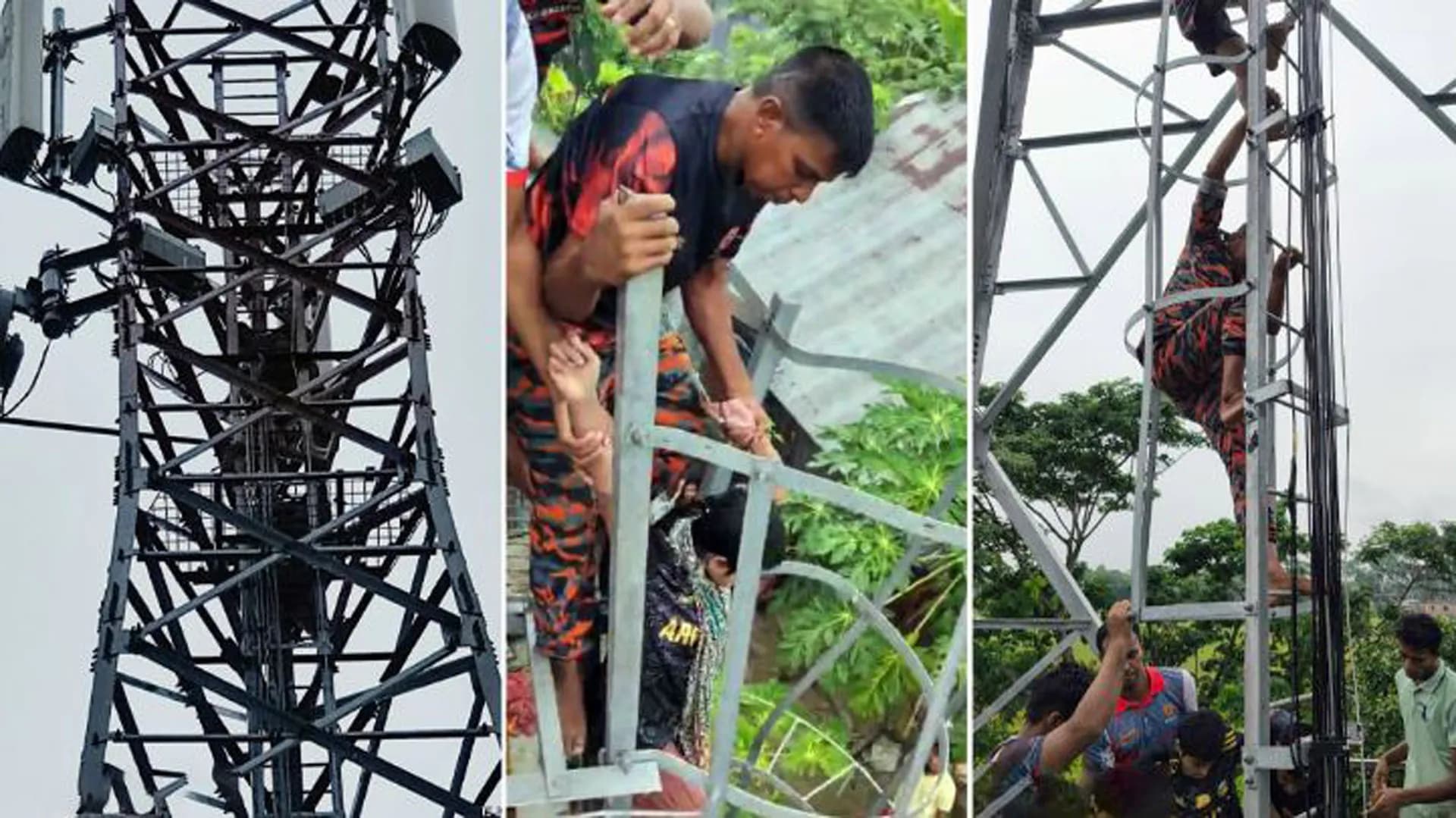 পটুয়াখালীতে নিখোঁজ কিশোরীকে মোবাইল টাওয়ারের চূড়া থেকে উদ্ধার