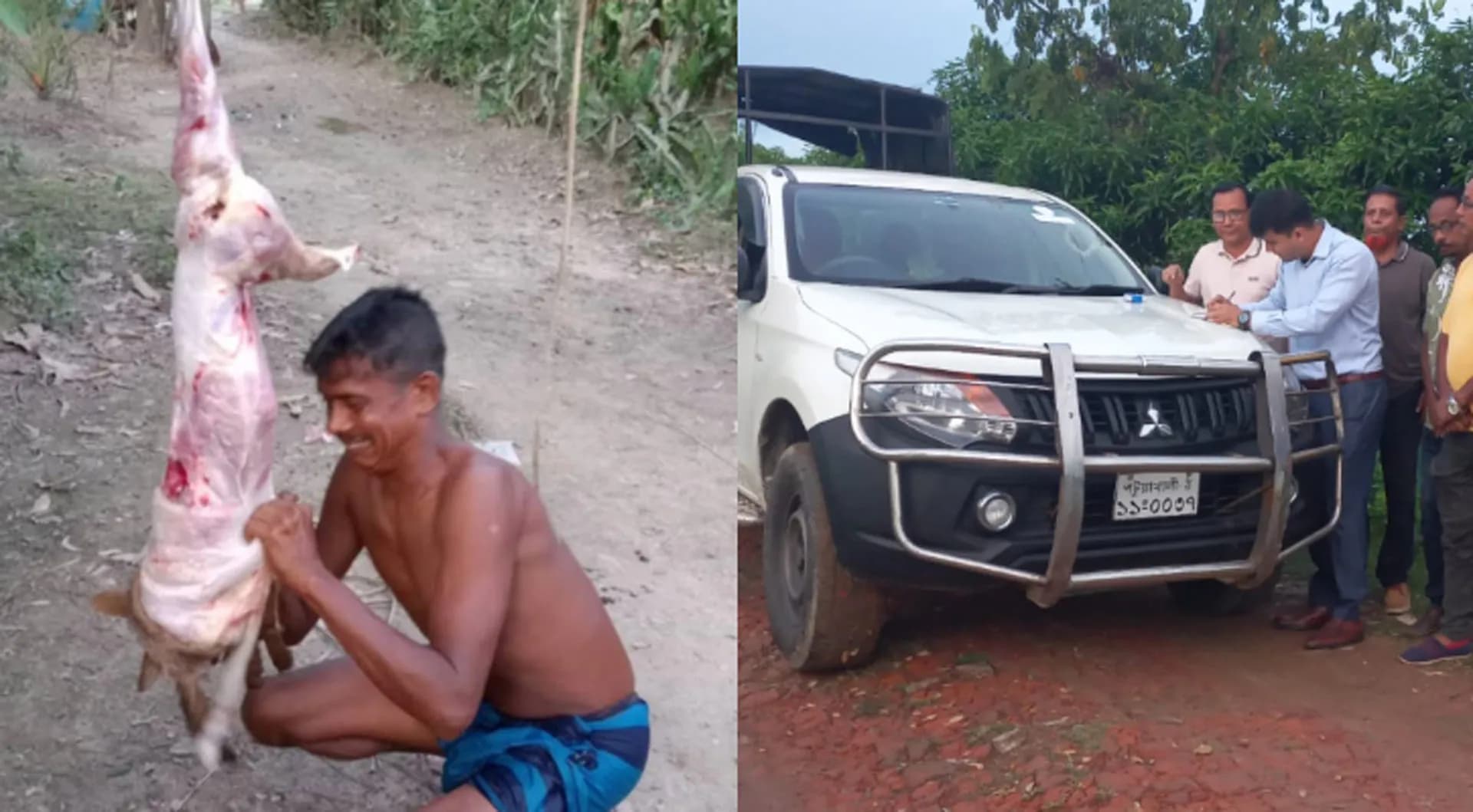 কলাপাড়ায় শিয়াল জবাইয়ের অপরাধে ১ ব্যক্তিকে জরিমানা
