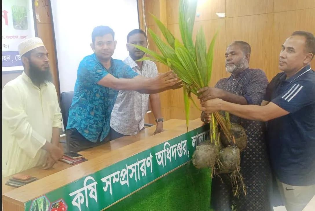 লালমোহনে আটশত কৃষকের মাঝে গাছের চারা বিতরণ