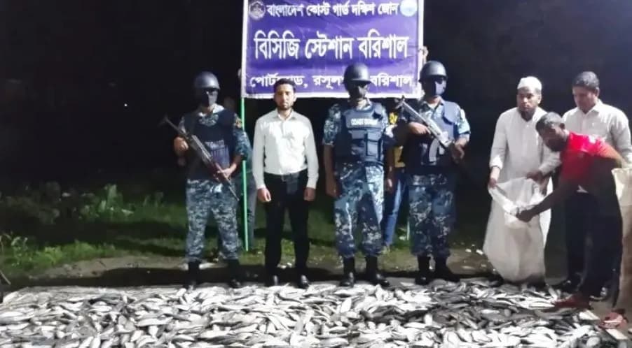 বরিশালে কোস্টগার্ডের অভিযানে বিপুল পরিমাণ জাটকা জব্দ