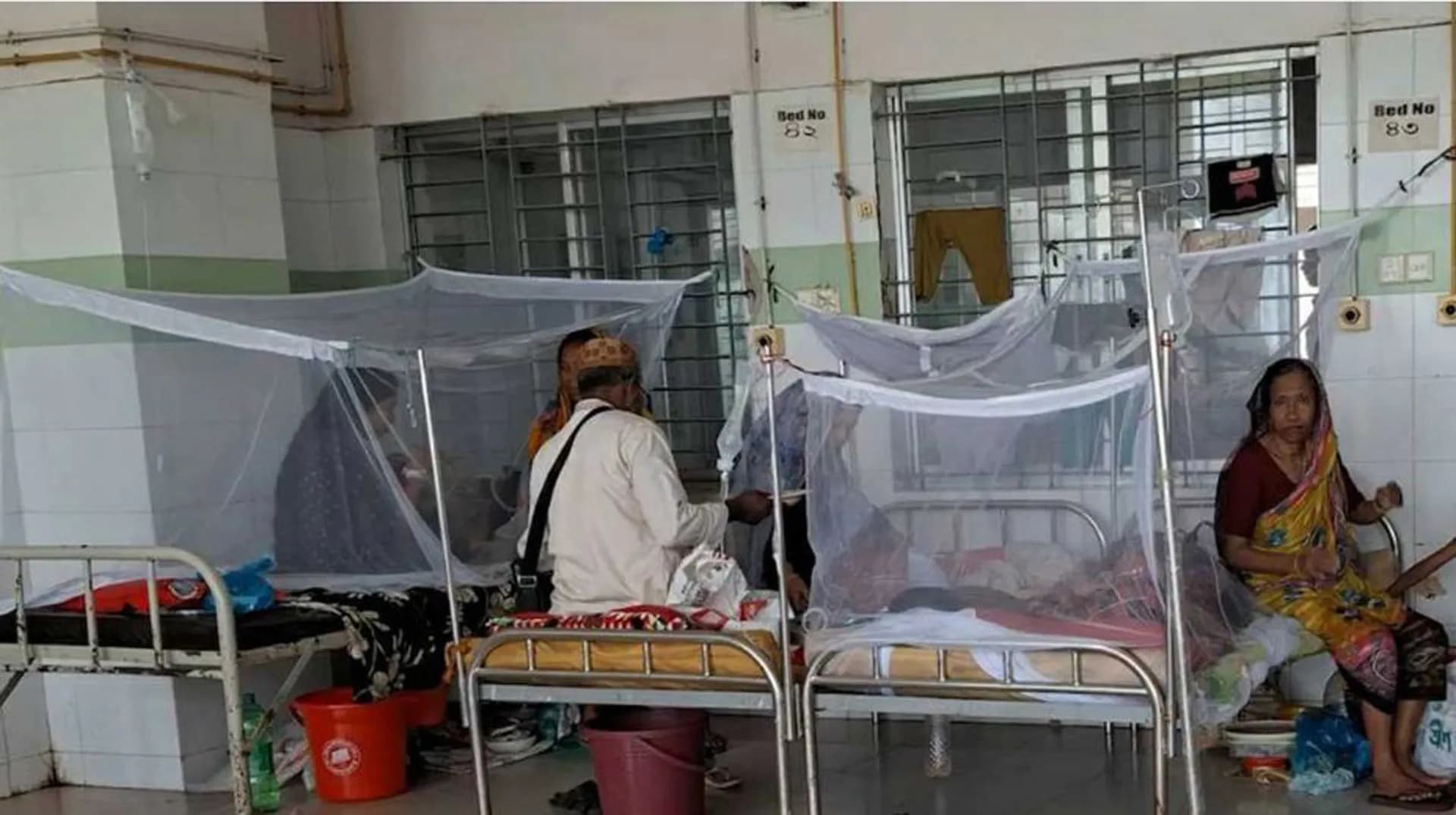 বরিশালে নতুন আক্রান্ত ৯৮ জন ডেঙ্গু রোগী হাসপাতালে ভর্তি