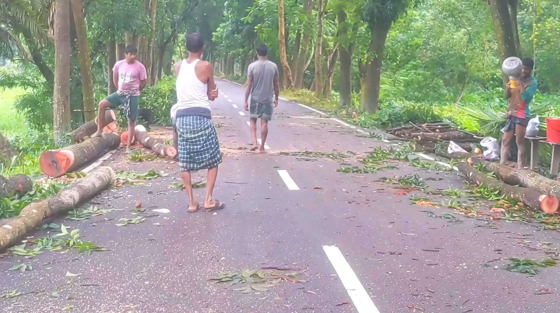 আদালতের নিষেধাজ্ঞা উপেক্ষা করে সরকারি গাছ কর্তন