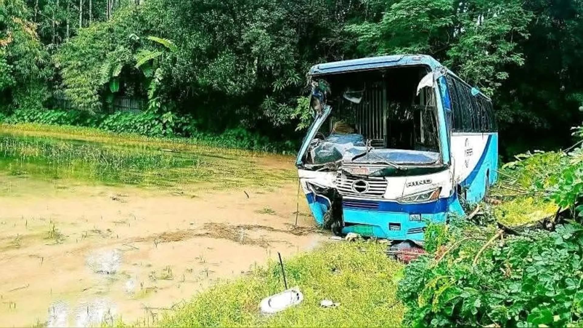 ঘুমে ঢুলে পড়া চালকের গাড়ি সোজা বিলে, আহত ২০