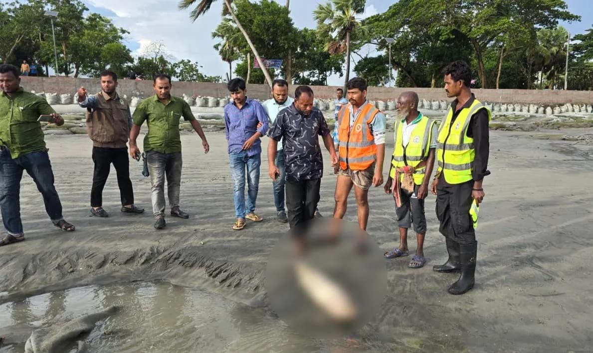 ফের কুয়াকাটা সৈকতে ভেসে এলো মৃত ইরাবতী ডলফিন 