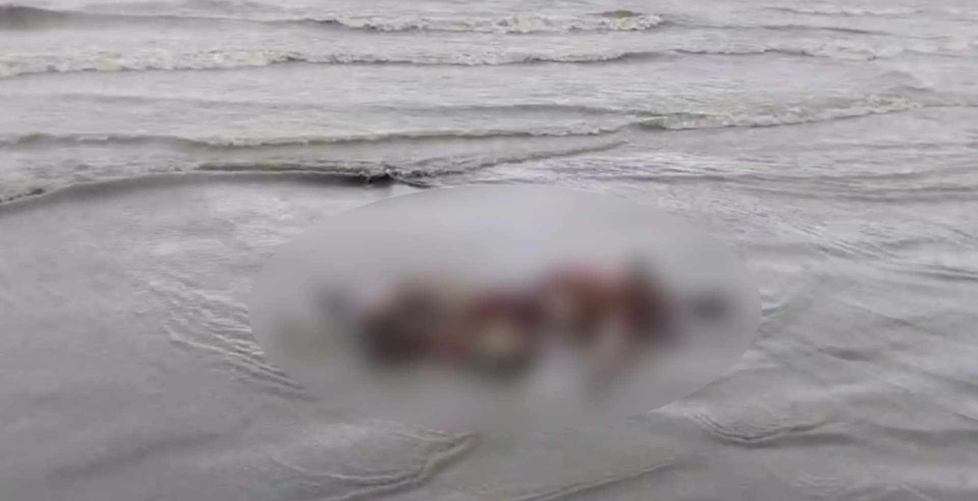 কুয়াকাটা সৈকত থেকে লাল কম্বল মোঁড়ানো অজ্ঞাত ব্যক্তির মরদেহ উদ্ধার