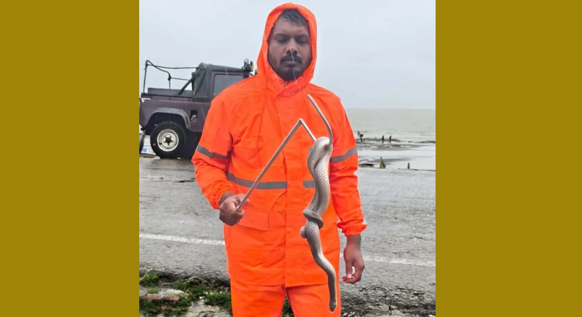 কুয়াকাটা সৈকতে ভেসে এলো বিরল প্রজাতির কাঁকড়া-ভুক পাইন্না সাপ 