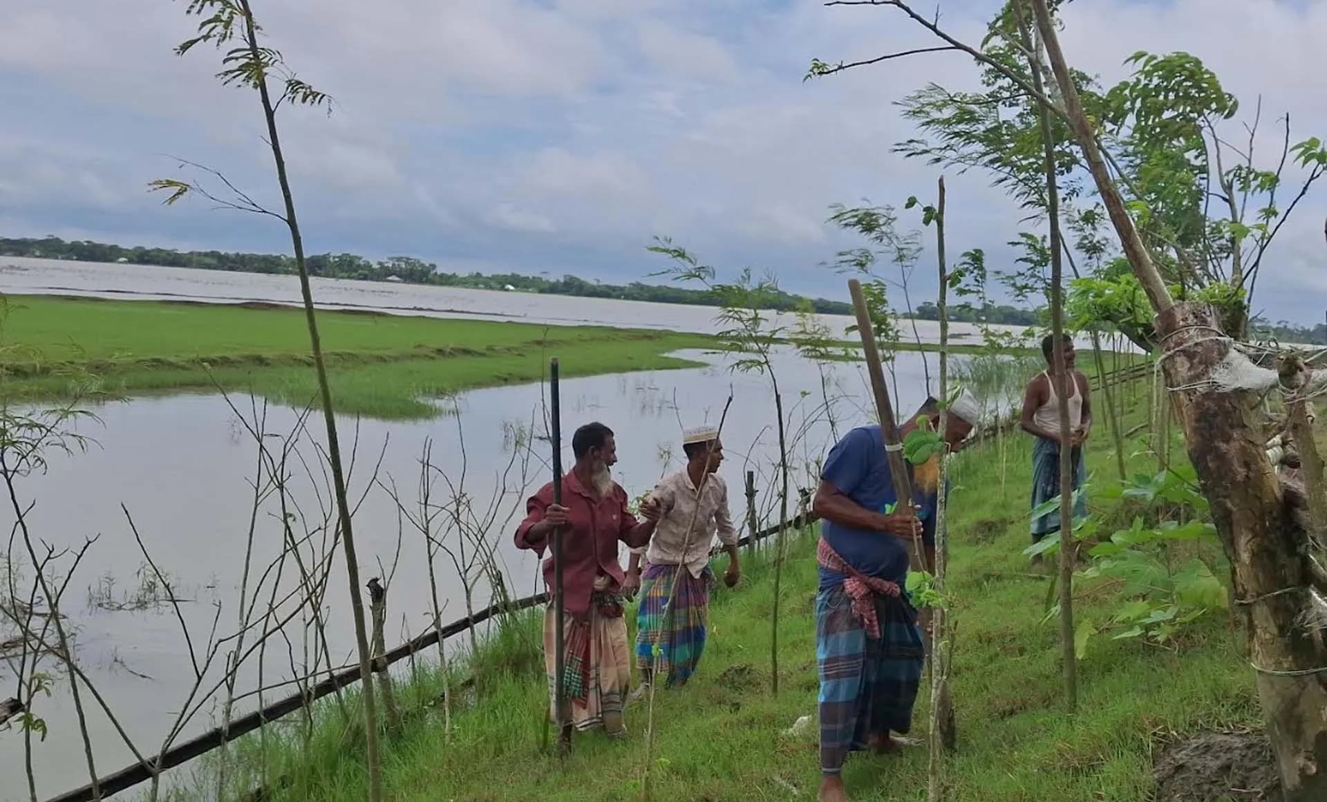 বাউফলে ৩ কিলোমিটার সড়কে ১০ হাজার তালের বীজ রোপণ 