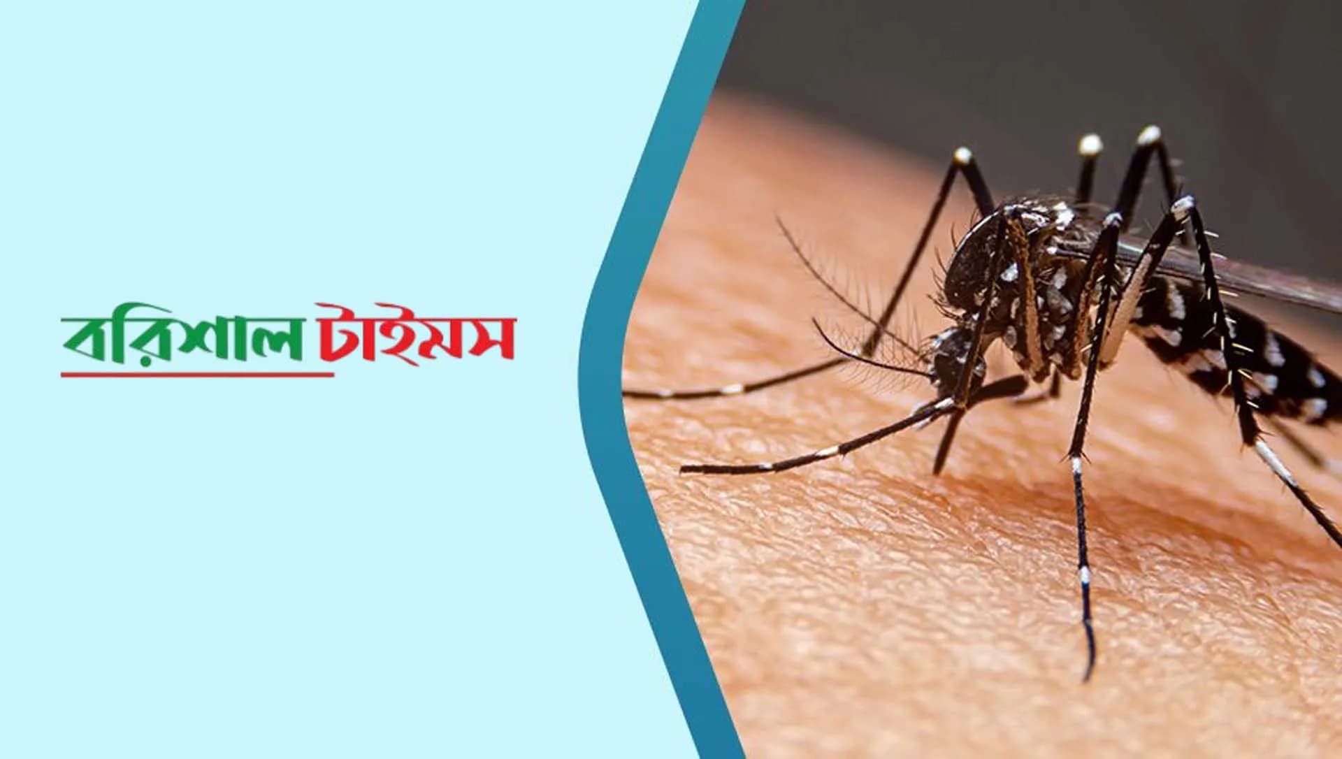 ডেঙ্গুতে আরও ৪ জনের মৃত্যু, হাসপাতালে ২৪৭