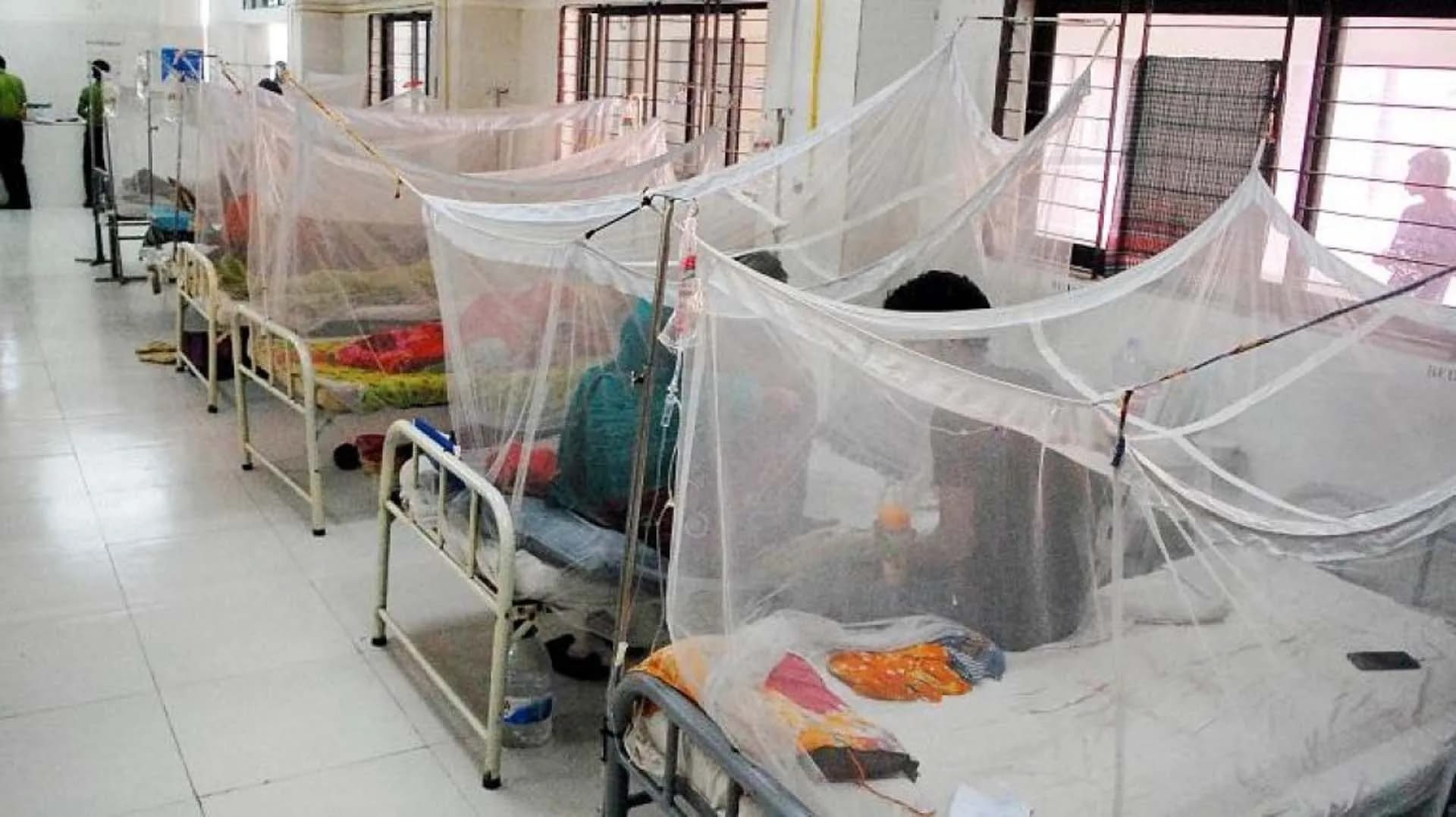 বরগুনায় ডেঙ্গুতে আক্রান্ত হয়ে স্কুলশিক্ষার্থীর মৃত্যু