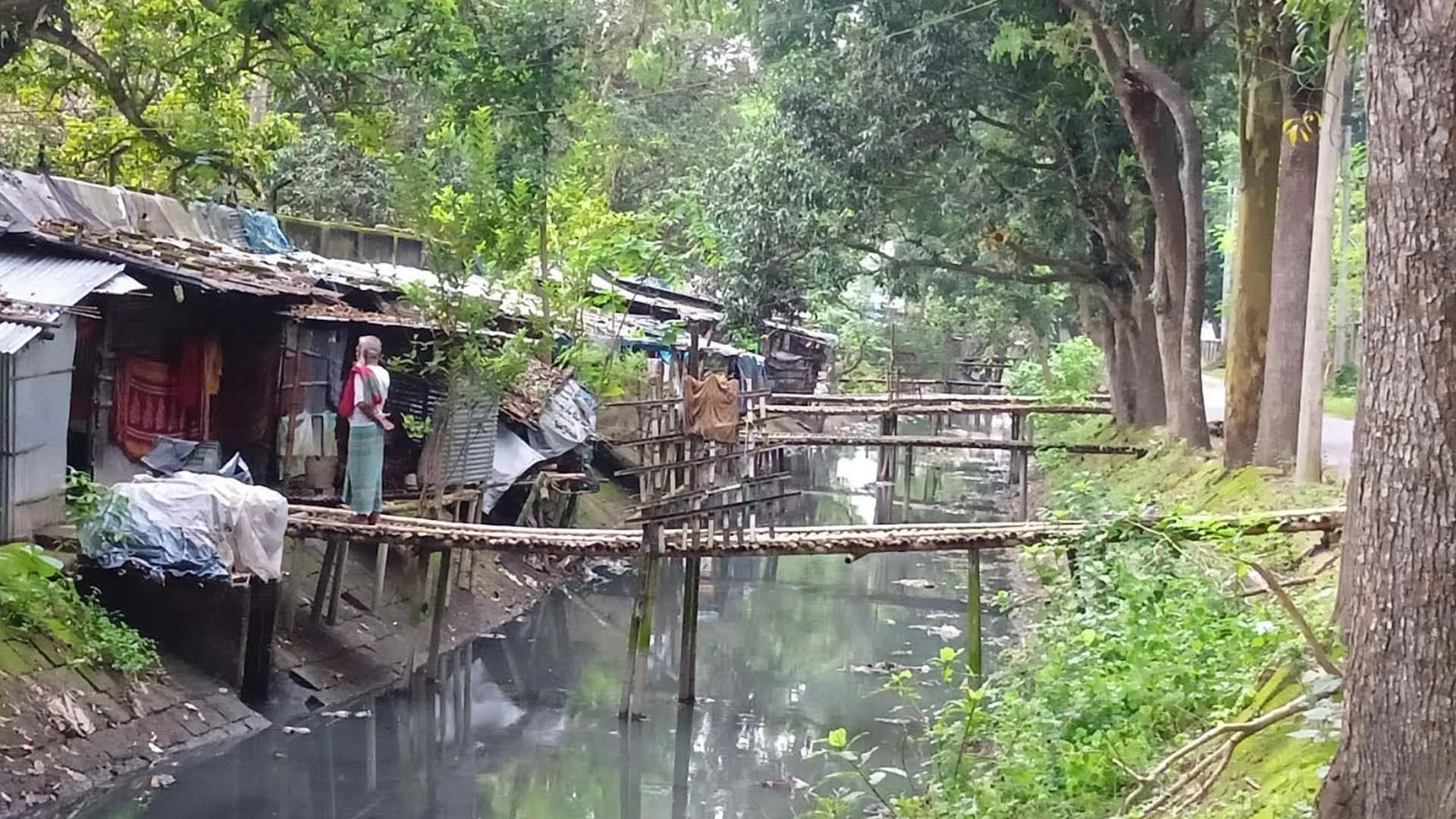 খালের ধারে বসতি, ২০ পরিবারের ১১ ব্যক্তিগত সাঁকো!