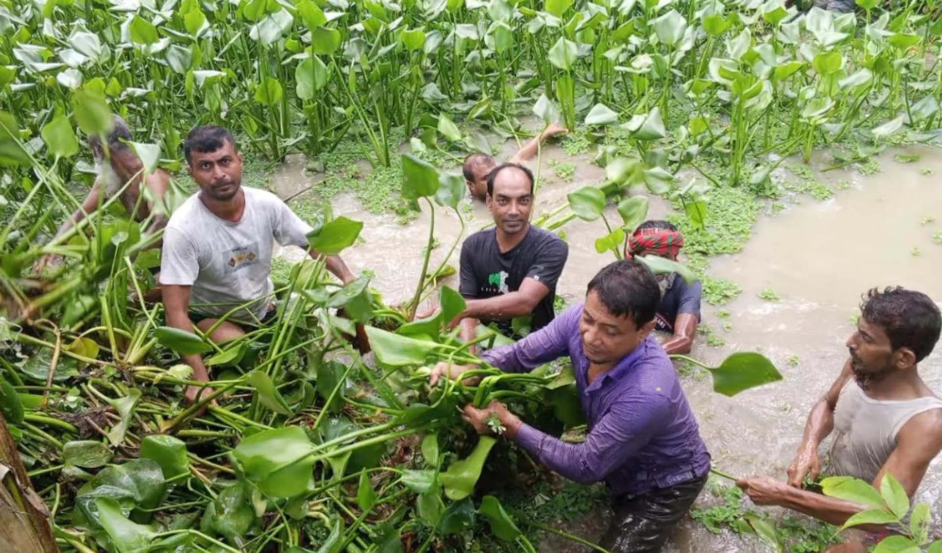 বাউফলে কৃষক দলের কেন্দ্রিয় নেতা লিটু’র নেতৃত্বে খালের কচুরিপানা পরিষ্কার 