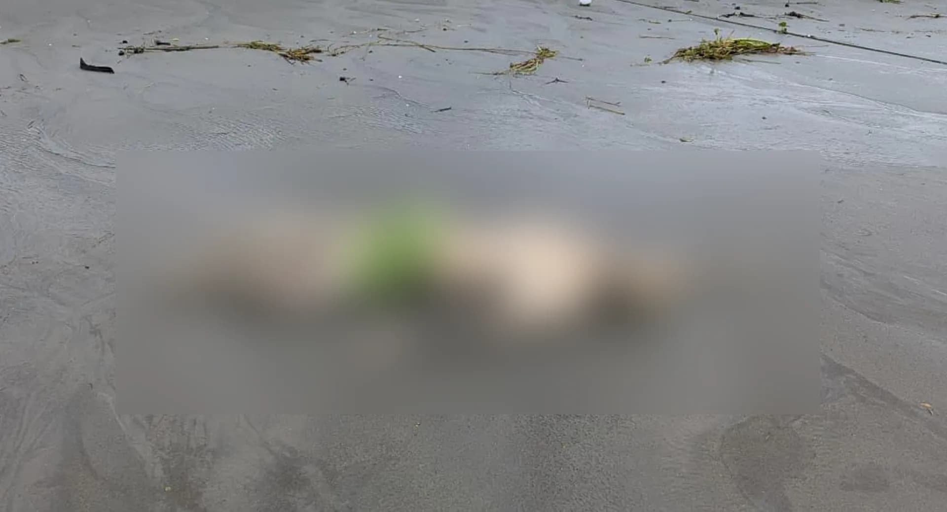 কুয়াকাটা সৈকত থেকে অর্ধগলিত মরদেহ উদ্ধার 