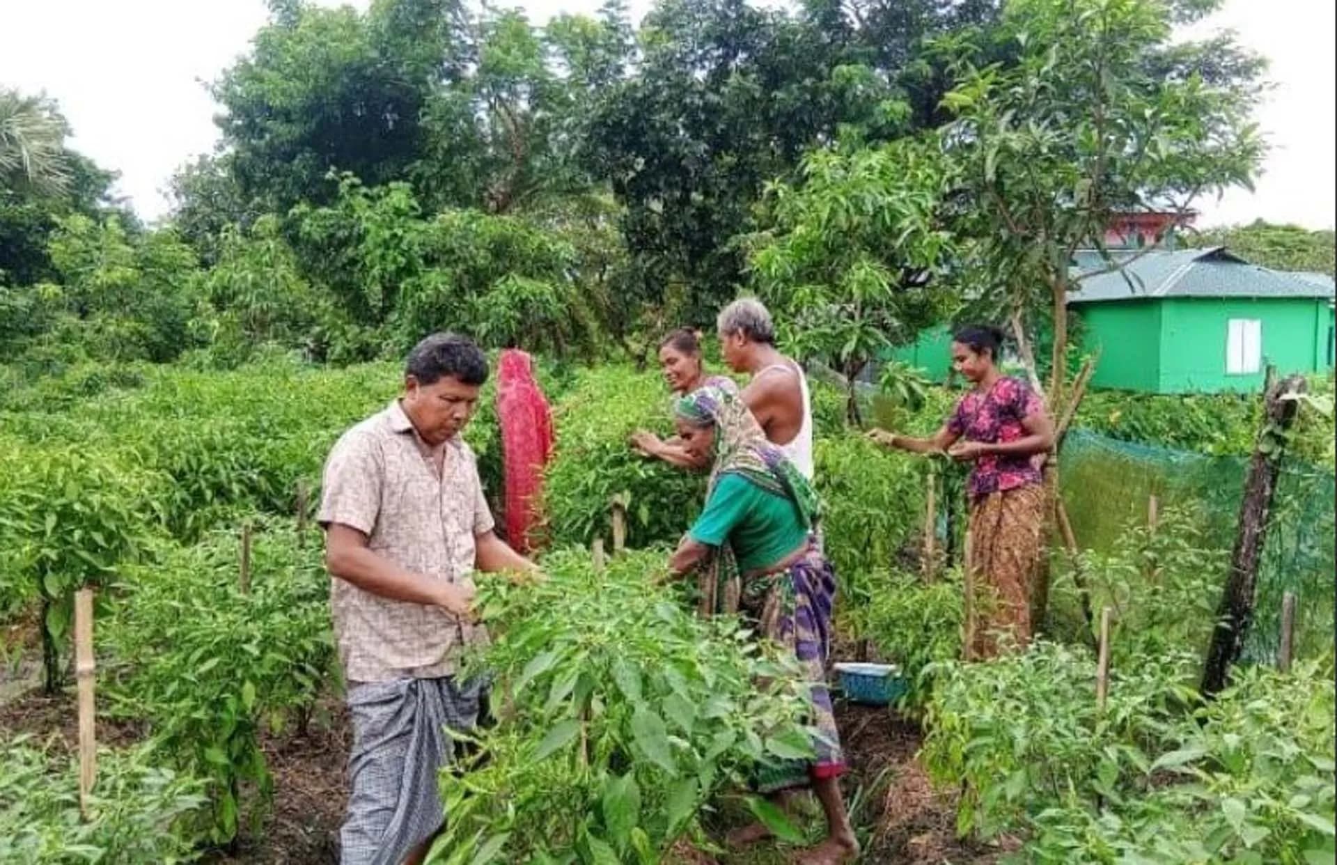 তালতলীতে পিছিয়ে পড়া জনগোষ্ঠীদের আলোর মুখ দেখাচ্ছে 'আরএসডিও'