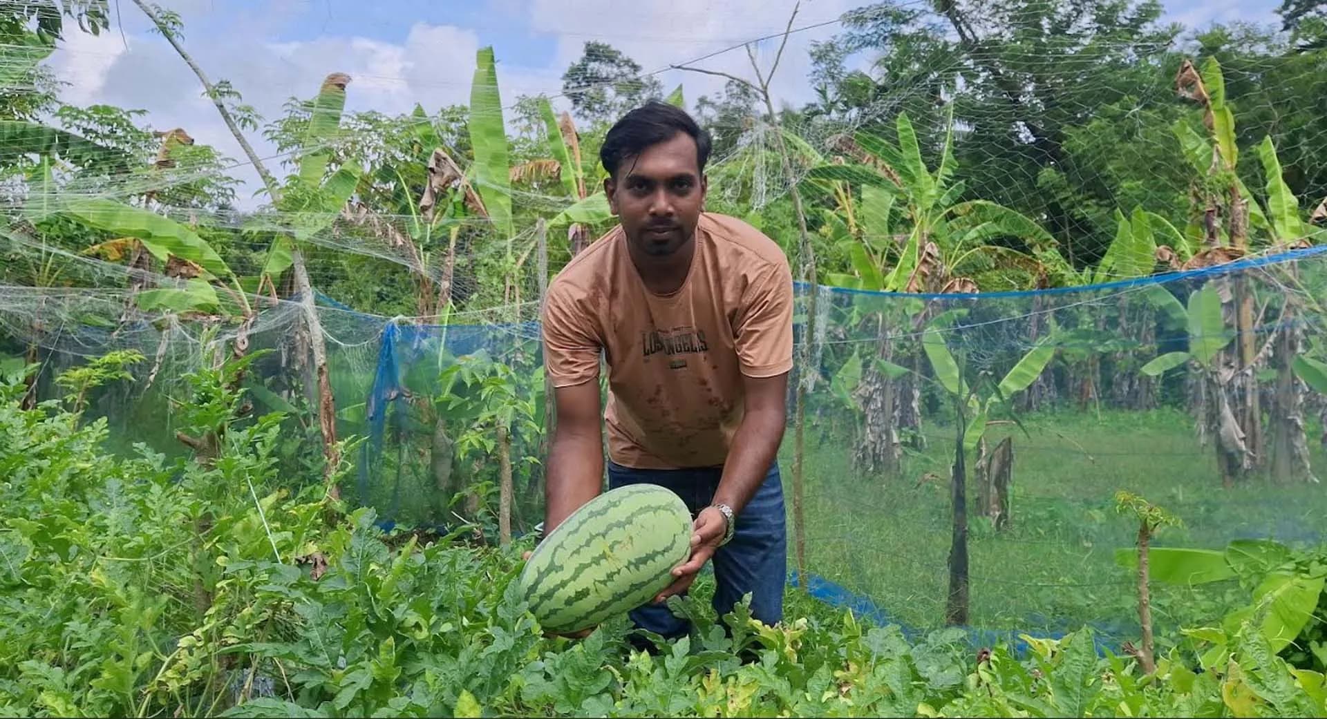 অসময়ে তরমুজ চাষে সফল তরুণ চাষী 