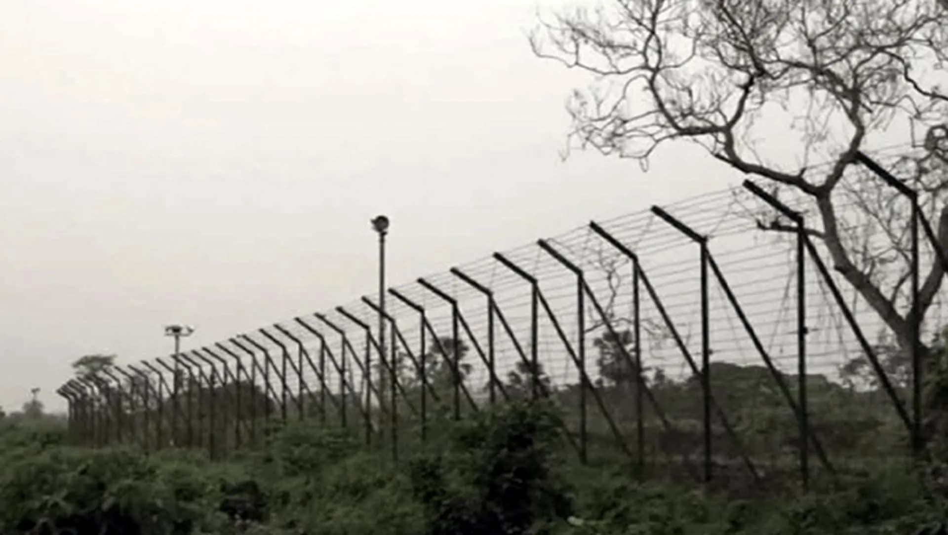 ভারতে ৩ বাংলাদেশিকে পিটিয়ে হত্যা