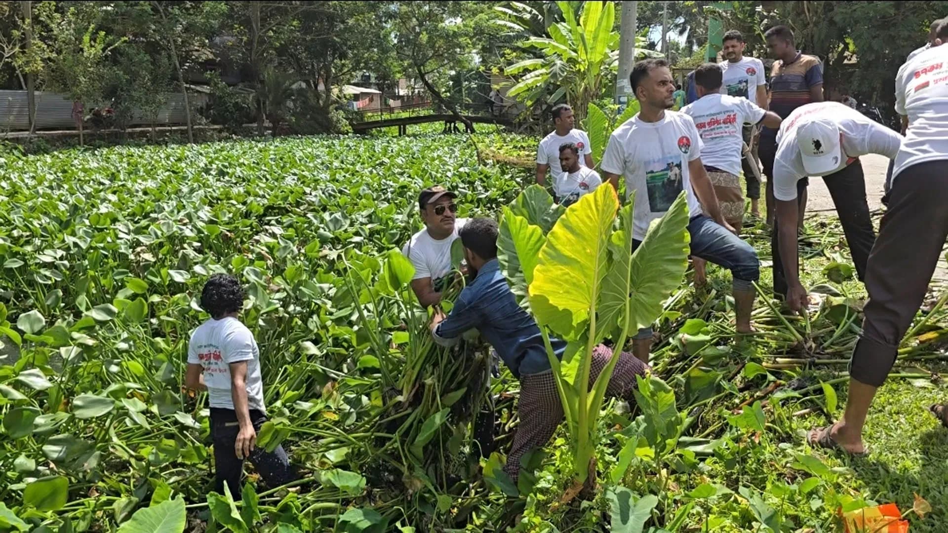 দুমকিতে যুবদলের উদ্যোগে খাল পরিষ্কার অভিযান