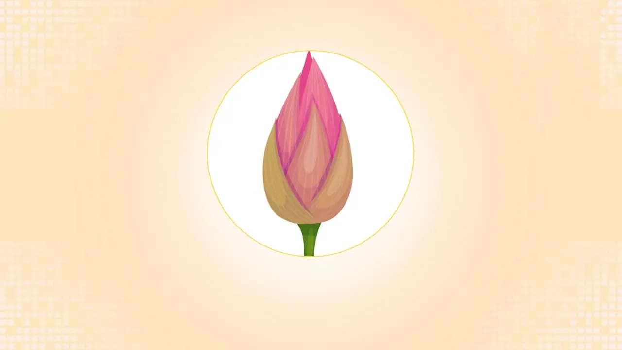 ‘শাপলা কলি’ প্রতীক নিতে সম্মত এনসিপি