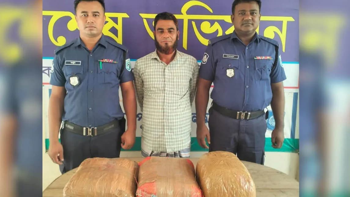 মাটির নিচ থেকে গাঁজা উদ্ধার, মাদক কারবারি আটক