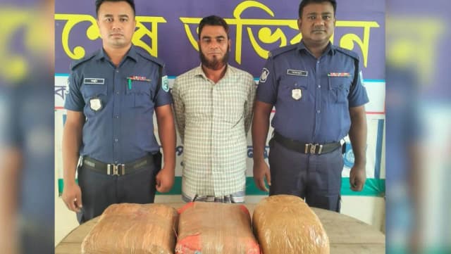 মাটির নিচ থেকে গাঁজা উদ্ধার, মাদক কারবারি আটক