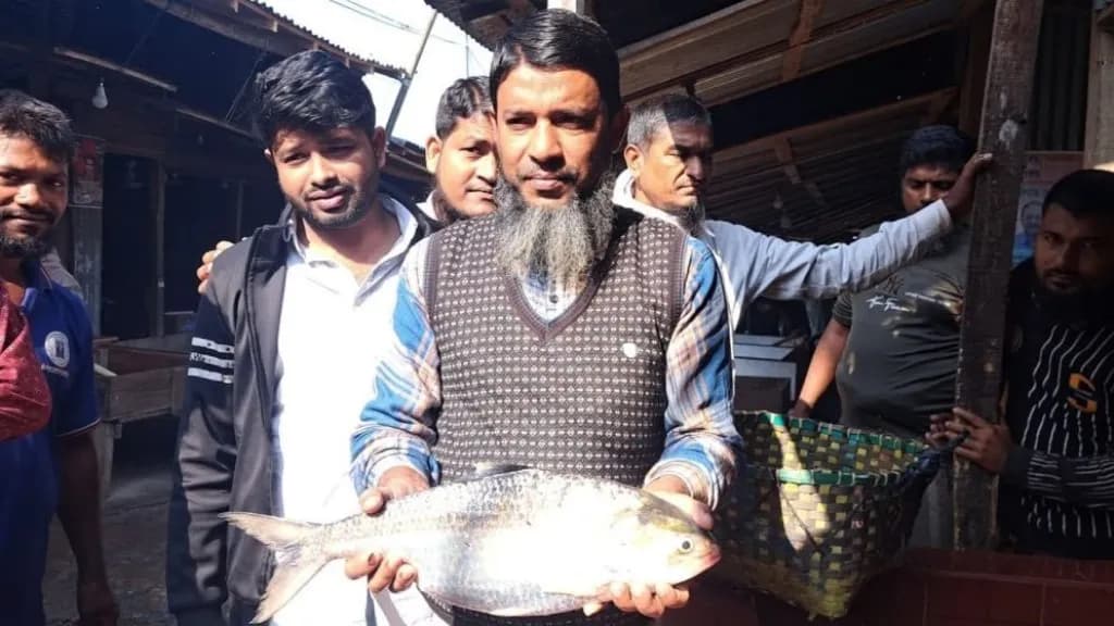 জেলের জালে রাজা ইলিশ, এক মাছের দাম ৮ হাজার দুইশ