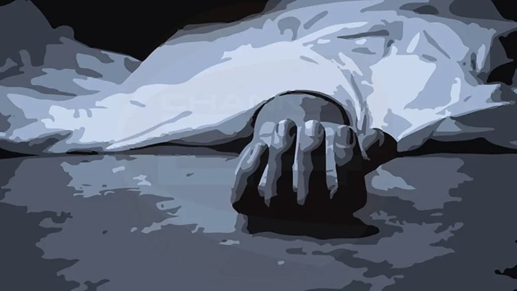 বরগুনায় নছিমন উল্টে প্রাণ গেল শ্রমিকের