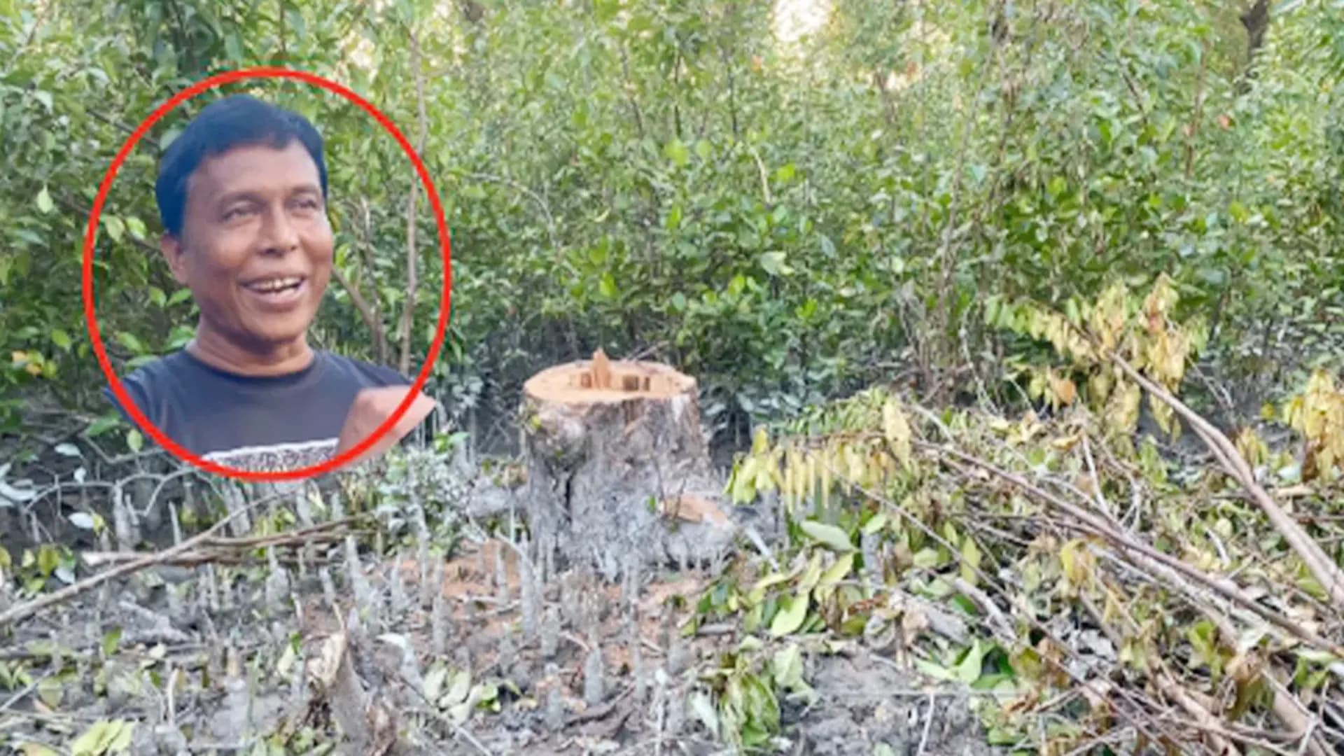 কর্মকর্তার যোগসাজশে উজার হচ্ছে বন!