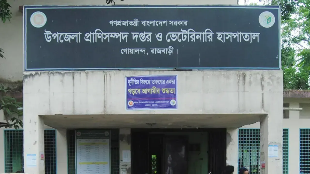 এলএসডিতে শতাধিক গরু অসুস্থ, দুশ্চিন্তায় খামারিরা